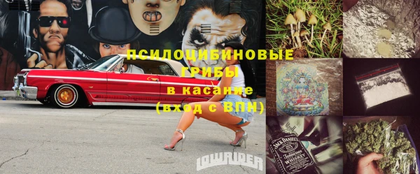 стафф Бронницы