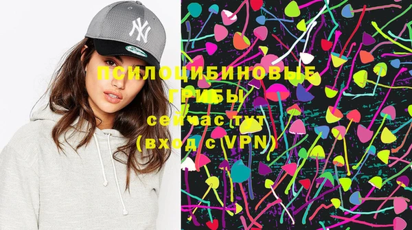 стафф Бронницы