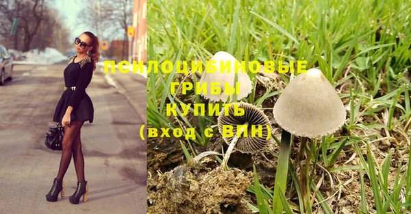 стафф Бронницы