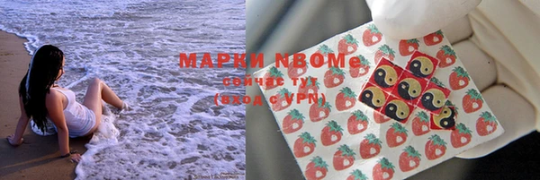стаф Бугульма