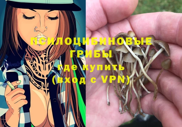 стафф Бронницы