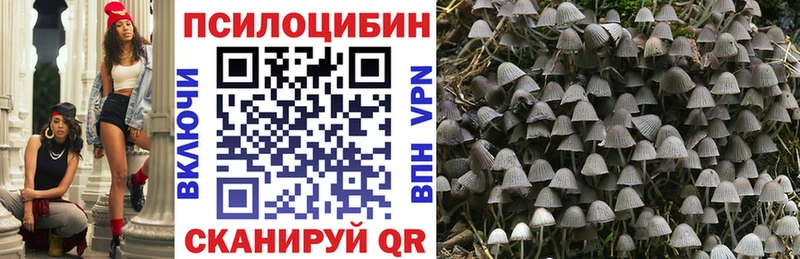 Псилоцибиновые грибы прущие грибы Светогорск